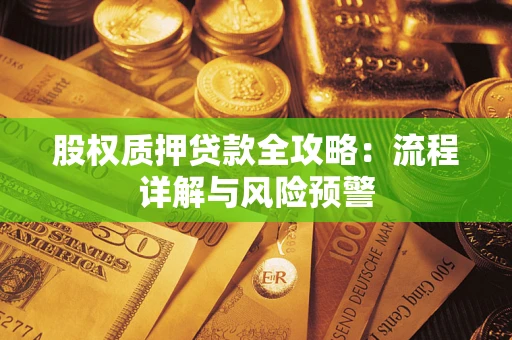 北京股权质押贷款全攻略：流程详解与风险预警
