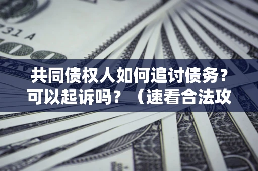 北京共同债权人如何追讨债务？可以起诉吗？（速看合法攻略）