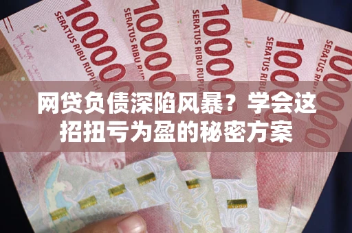 北京网贷负债深陷风暴？学会这招扭亏为盈的秘密方案